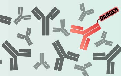 Antibody identifier could speed development of therapies for cancer, other diseases