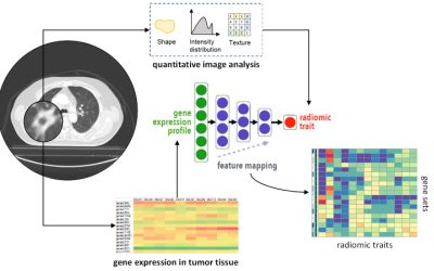 Integrating medical imaging and cancer biology with deep neural networks