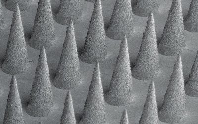 Microneedle patch encourages hair to regrow